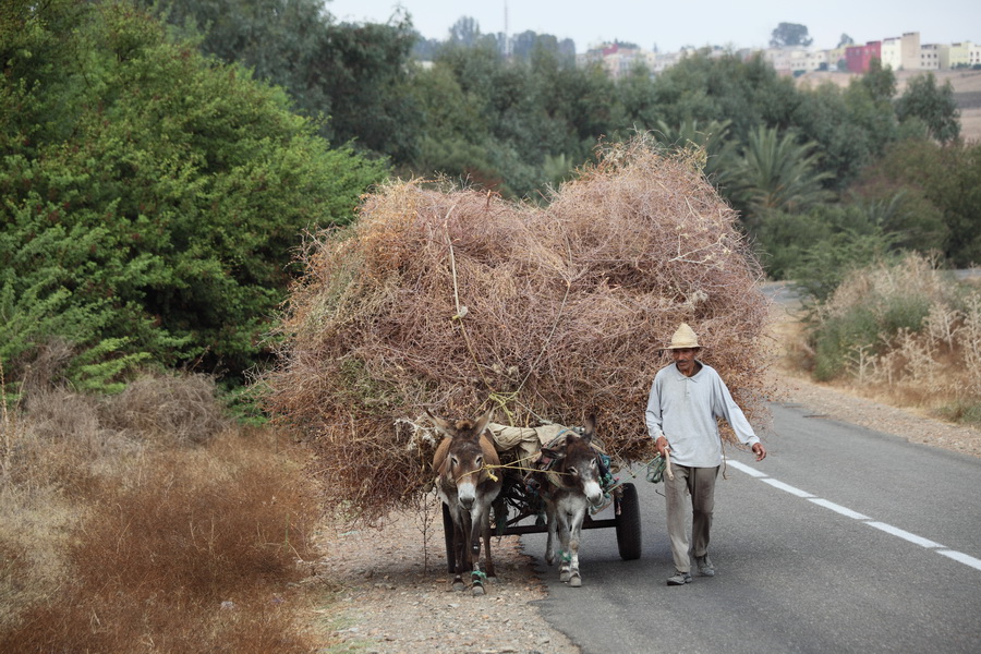 maroc 18